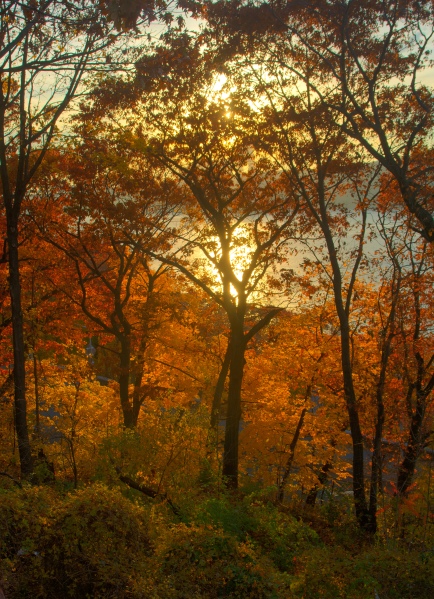 Fall Sunset-7